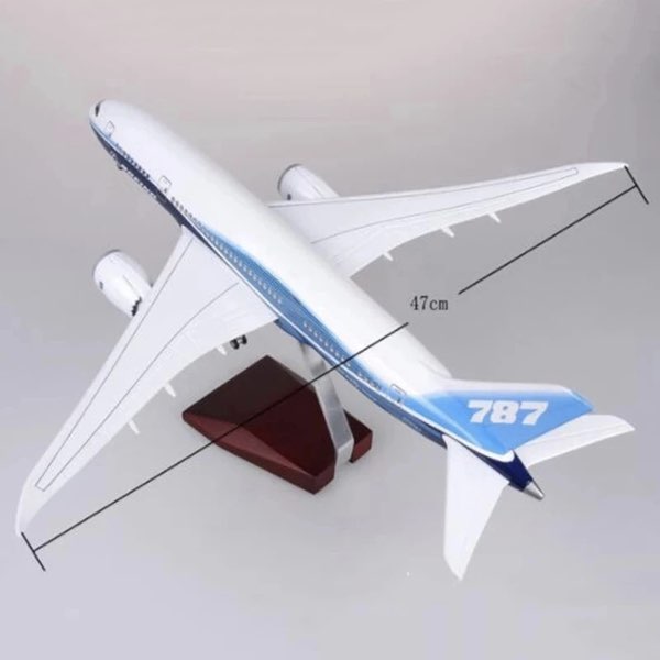 楽天市場】＼P最大5倍☆2/25限定／[楽天1位]【送料無料】【特大模型