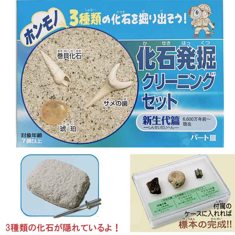 楽天市場】化石発掘クリーニングセット パートIII／新生代編 キット