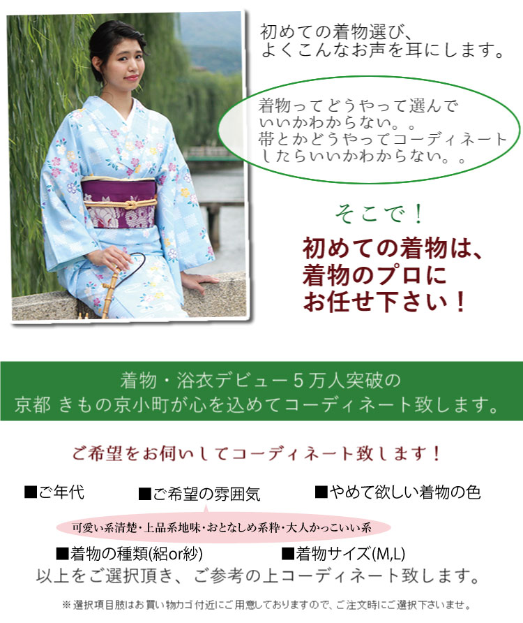 楽天市場】【着物 セット 夏着物 着物デビュー 20点 フルセット 洗える