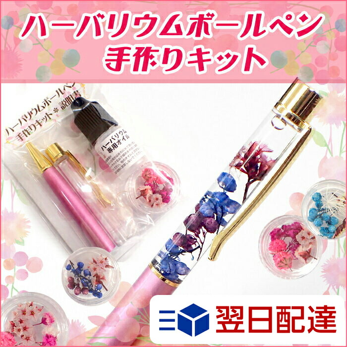 楽天市場】15%オフクーポン【2/25まで】【あす楽 最短当日発送】5個