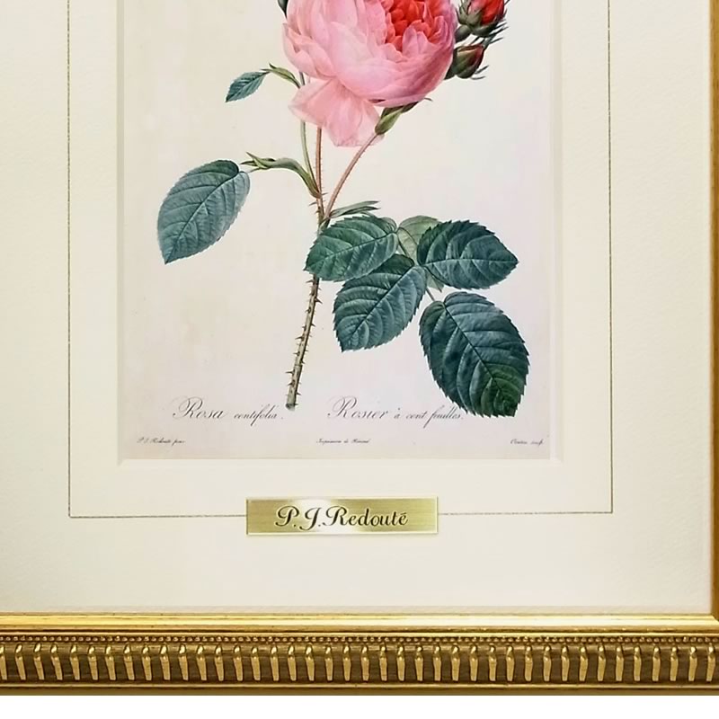 楽天市場】絵画 インテリア ルドゥーテ ローズ 絵額 複製画 『 バラ