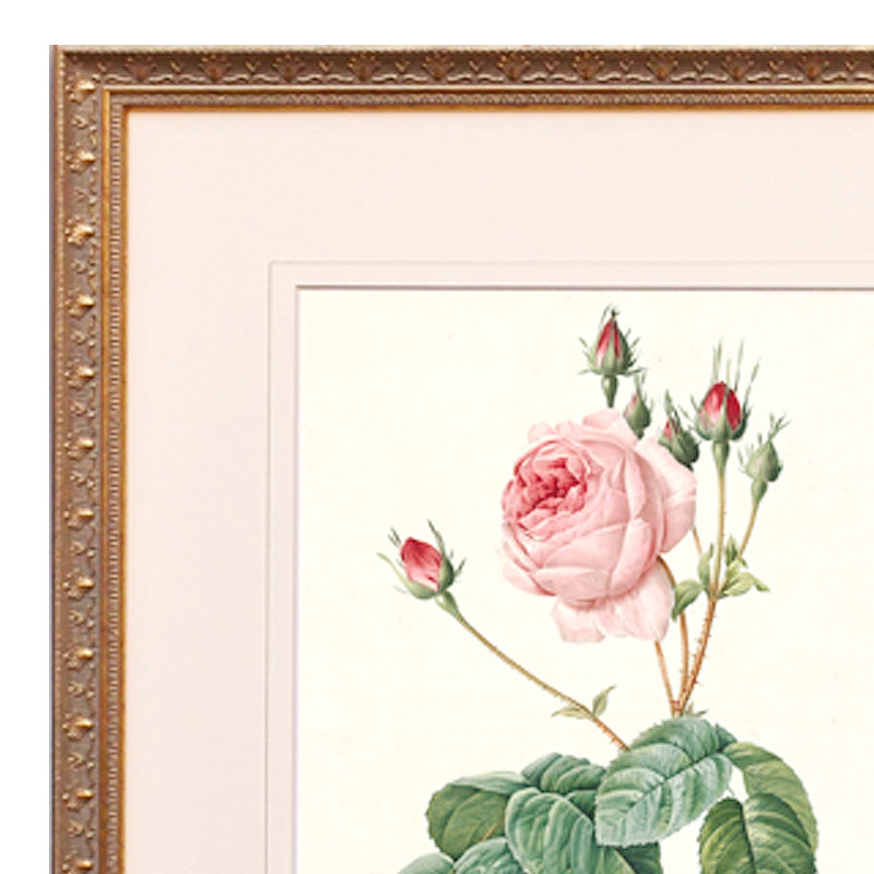 楽天市場】絵画 インテリア ルドゥーテ ローズ 絵額 複製画 『 バラ