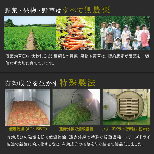 楽天市場】【特典あり】済陽式 万葉効草EX 30包《2箱セット》[青汁