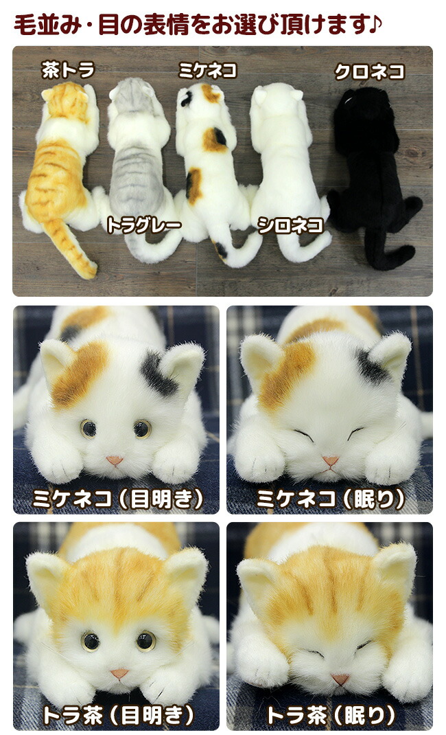 楽天市場】【特典あり】【ギフト対応無料】リアル 猫のぬいぐるみ 58cm