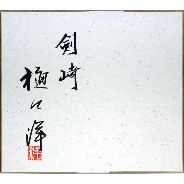 楽天市場】樋口 洋「剱崎（三浦半島）」油絵・色紙 日展理事 示現会