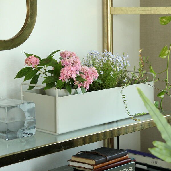 楽天市場】【お取り寄せ】Ferm Living (ファームリビング) Plant Box