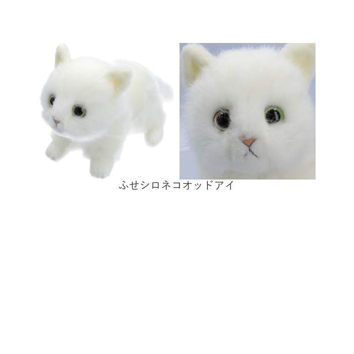 楽天市場】童心 ぬいぐるみ 猫 定番 リアル ネコ ねこ 猫のぬいぐるみ
