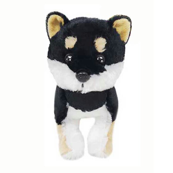 楽天市場】bashful black & cream puppyの通販