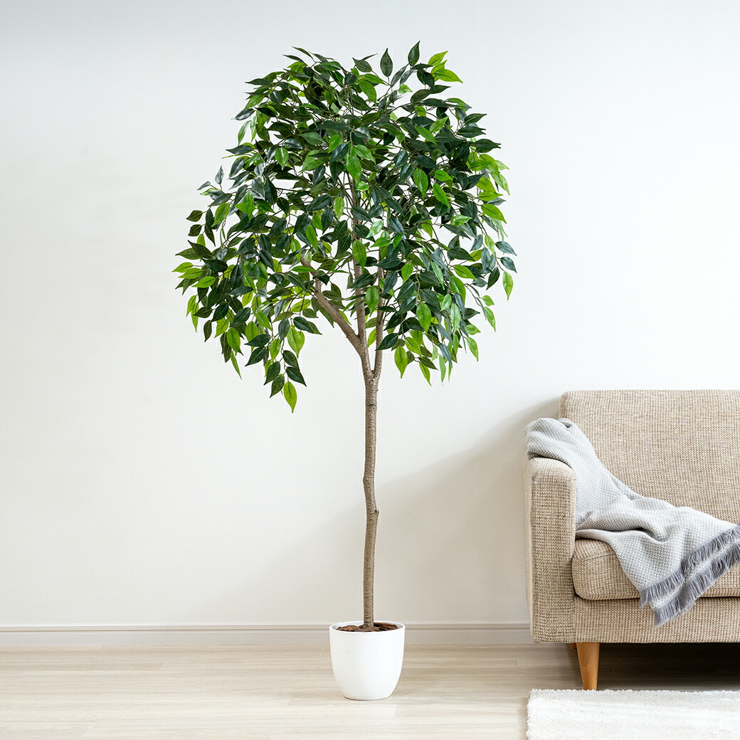 楽天市場】fejka フェイカ 人工観葉植物, ベンジャミンの通販