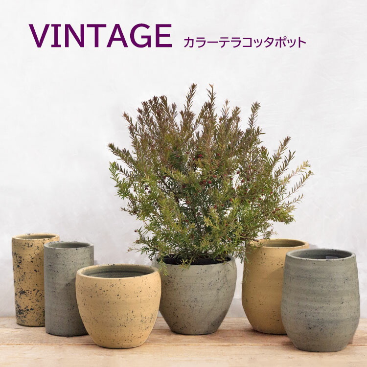 楽天市場】植木鉢 テラコッタ製（素焼き鉢） ビンテージ ハイ