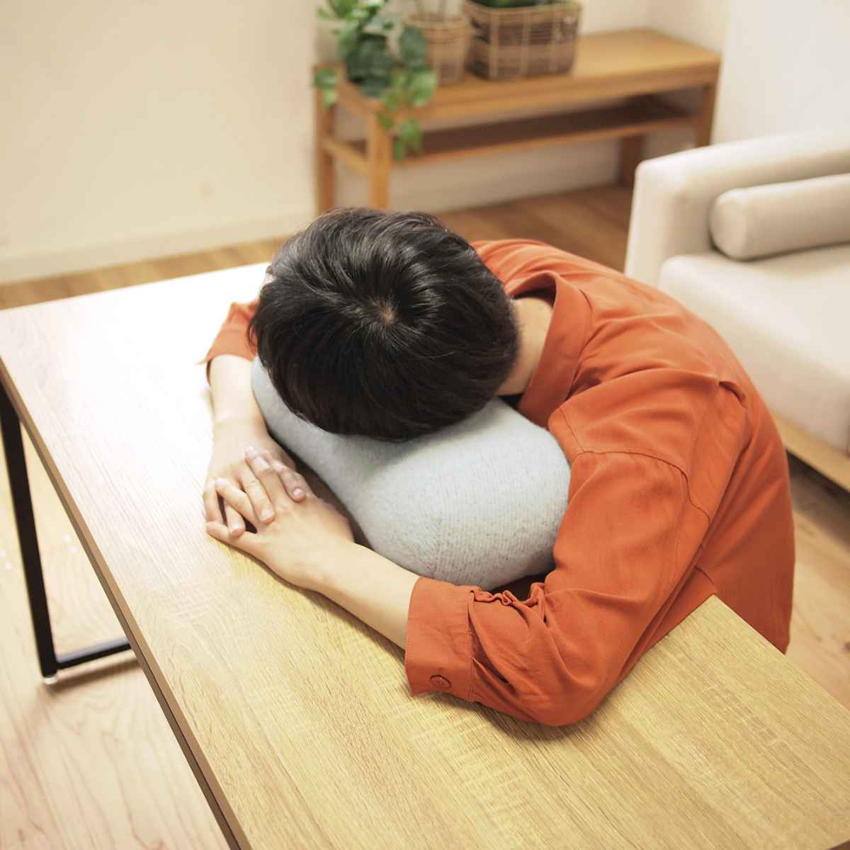 楽天市場】クッション フロスト 低反発マルチクッション （ ミニ