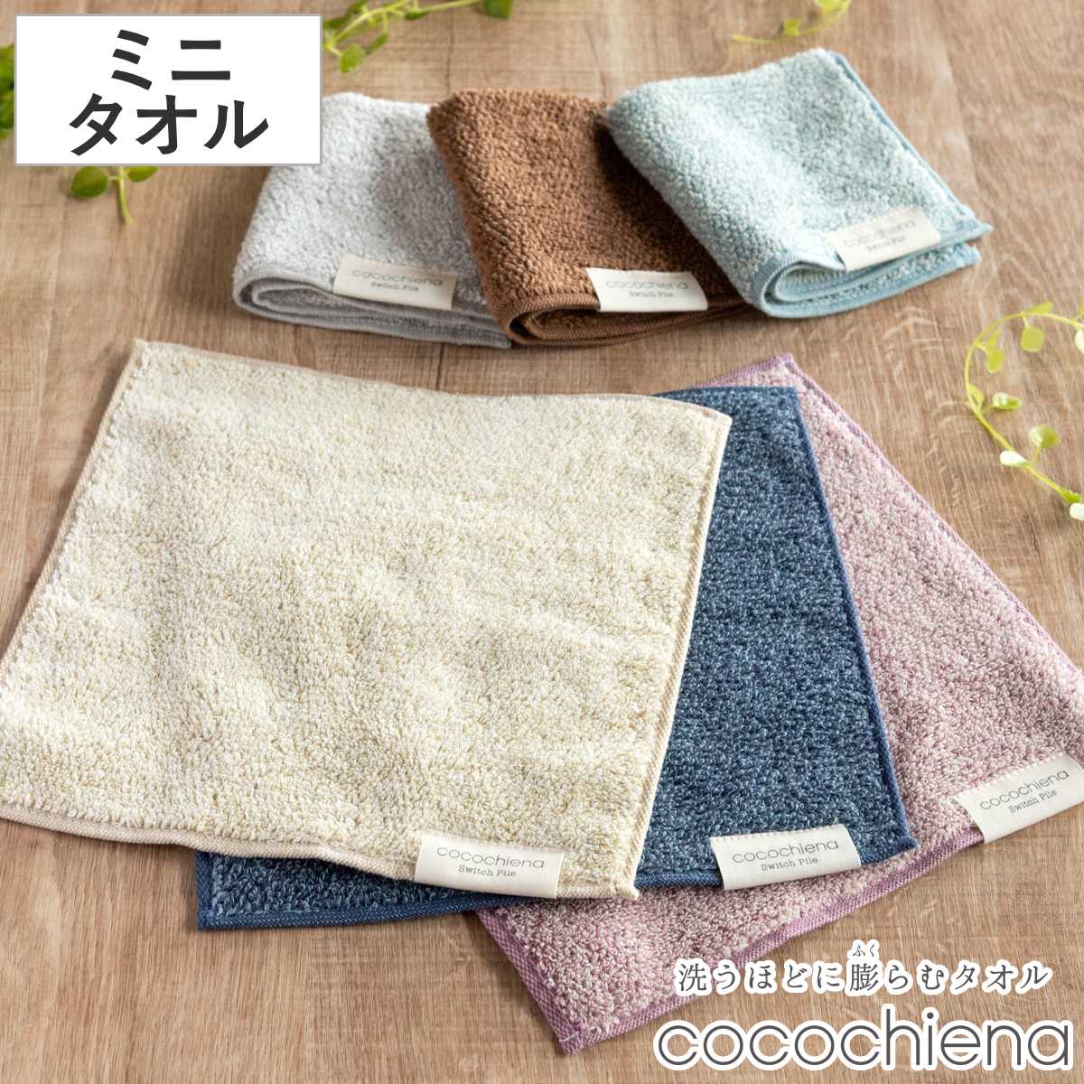 楽天市場】ミニタオル ココチエナ2 25×25cm （ タオル タオルハンカチ