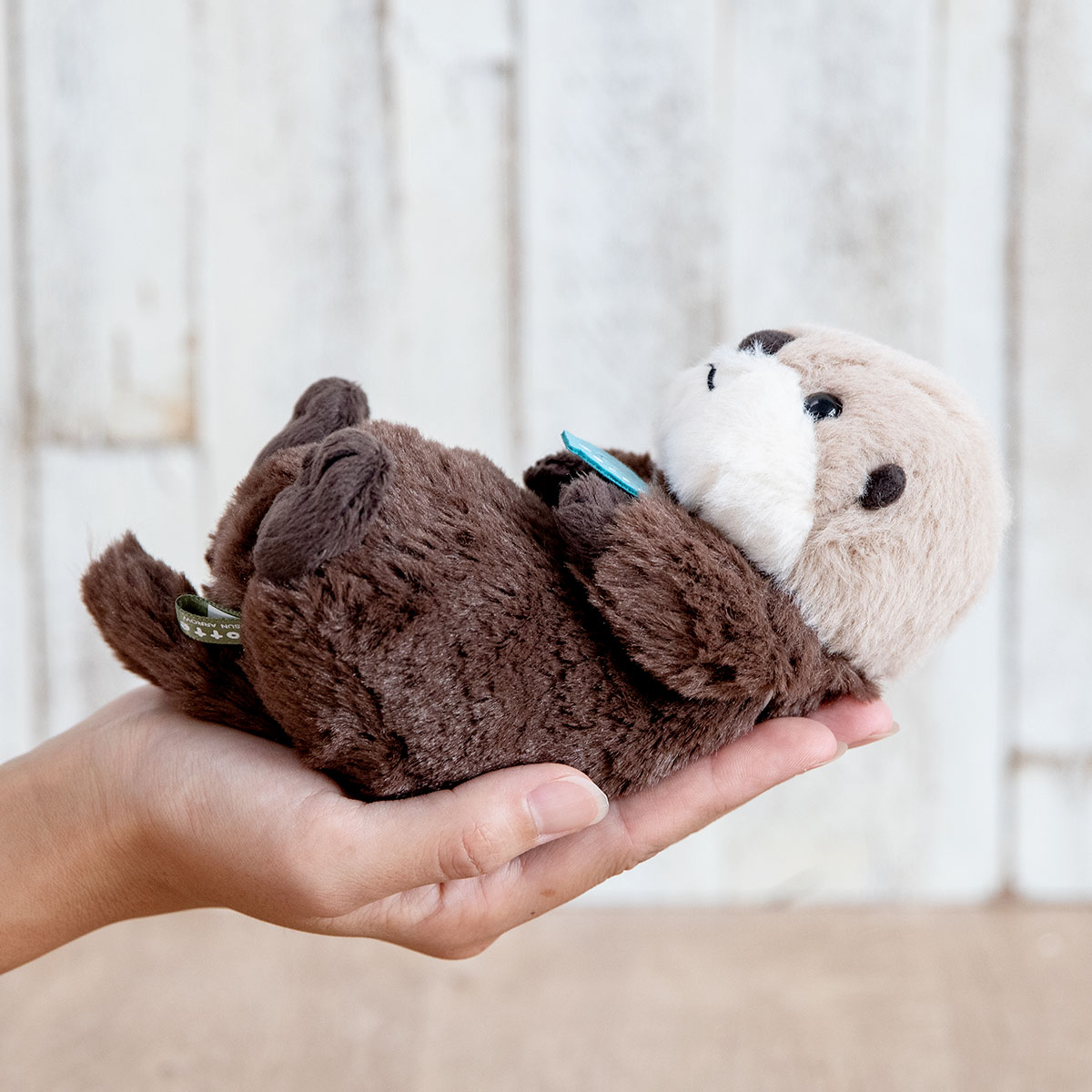 楽天市場】ぬいぐるみ potte ラッコ （ ヌイグルミ らっこ 動物 雑貨