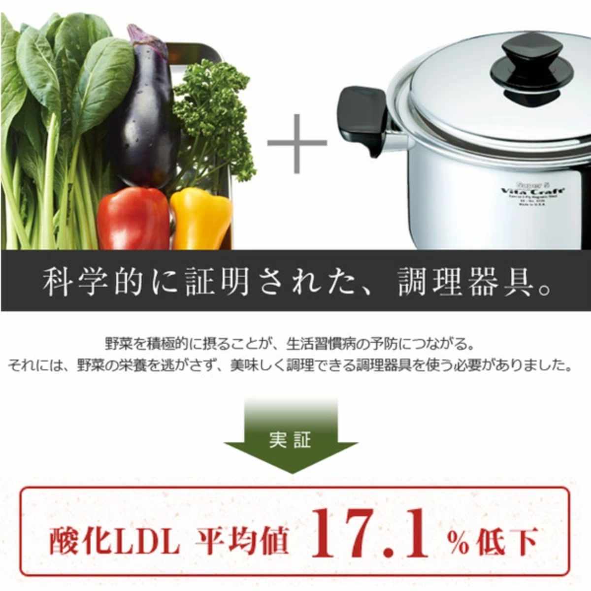 楽天市場】Vita Craft ビタクラフト 両手鍋 21cm ウルトラ 3.2L No