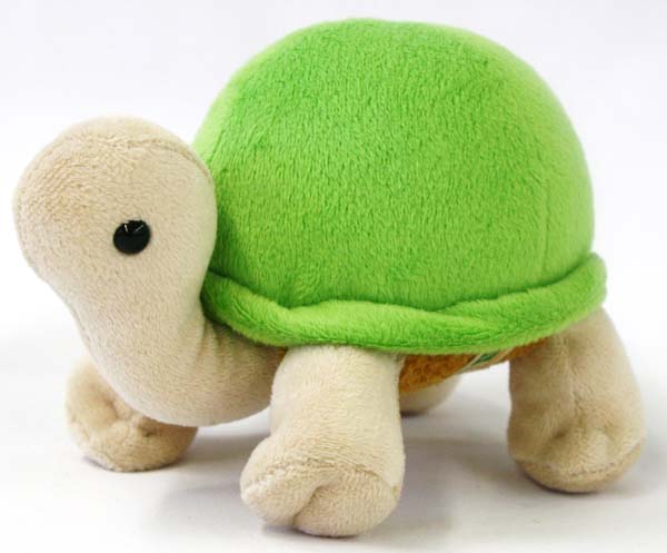 楽天市場】リクガメ シドくん GREEN サイズ：H10cm りくがめ かめ カメ