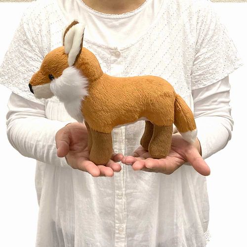 楽天市場】わくわく図鑑 キツネ サイズ:22cm きつね 狐 フォックス fox