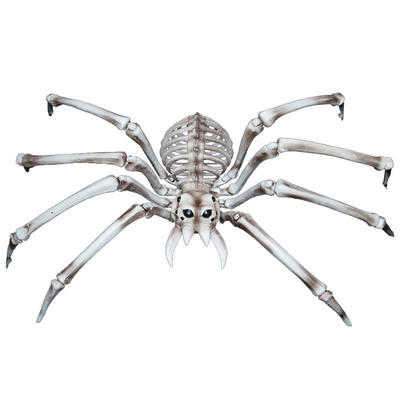 楽天市場】82×48cmジャイアントボーンスパイダー 【 装飾品 クモ 飾り