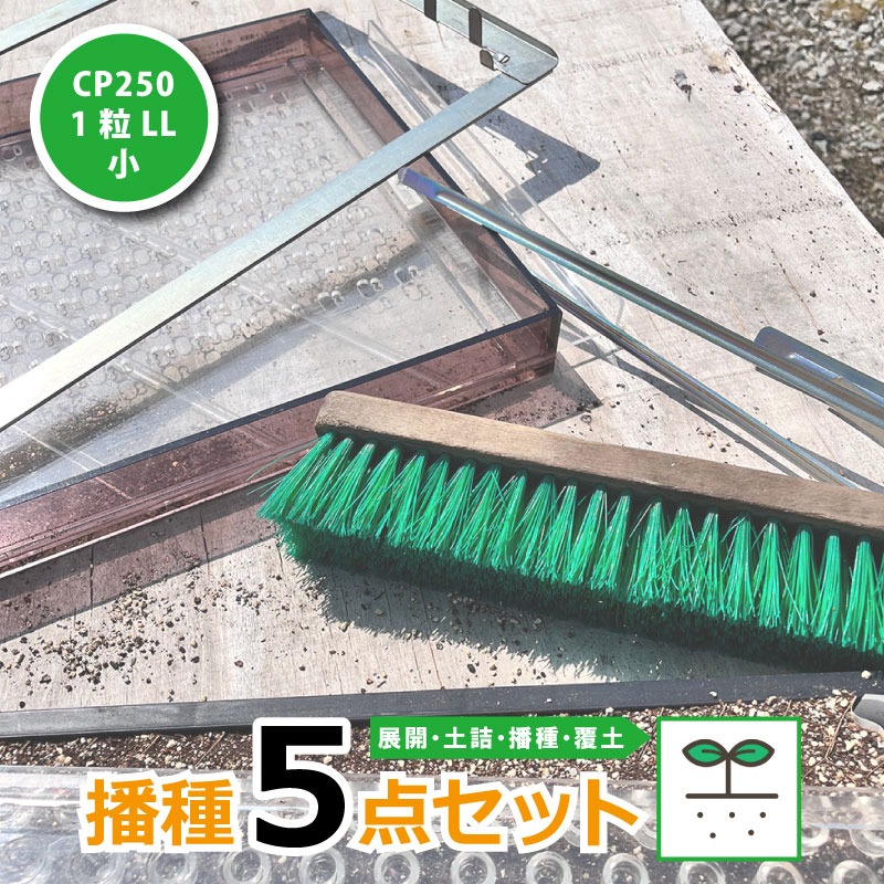 楽天市場】播種5点セット CP250 1粒LL-小 チェーンポット チェーン