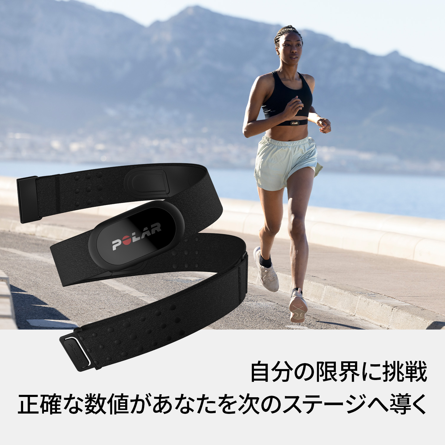 楽天市場】【ポラール公式ストア】Polar H10 N 胸心拍センサー 高精度