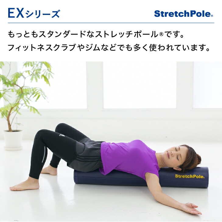 楽天市場】LPN ストレッチポールEX(ネイビー) スタートBOOK