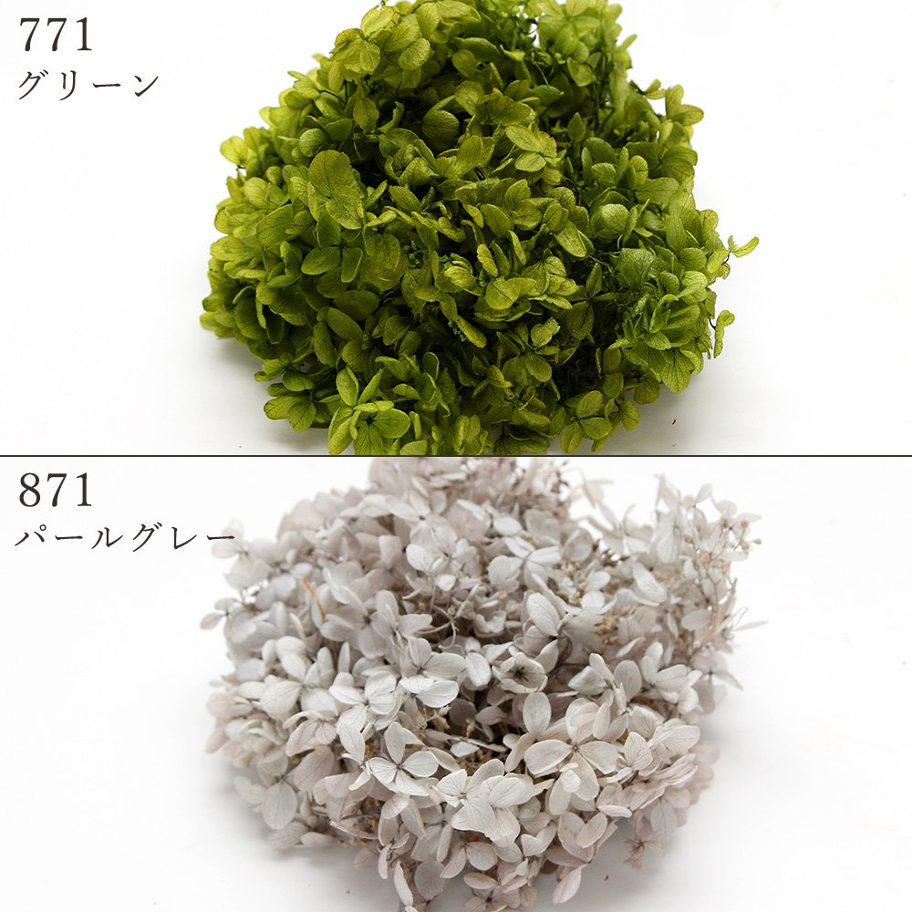 楽天市場】【P15倍中 2/24 9:59まで】 プリザーブドフラワー 花材 即日