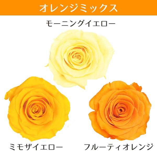 楽天市場】【P15倍中 2/24 9:59まで】 プリザーブドフラワー 花材