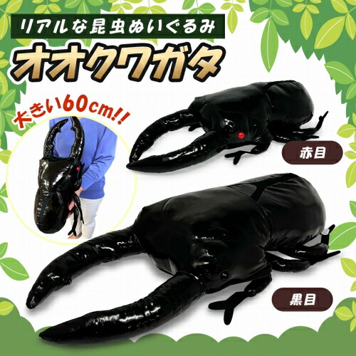 楽天市場】特価【昆虫 ぬいぐるみ オオクワガタ 60cm】キャラクター