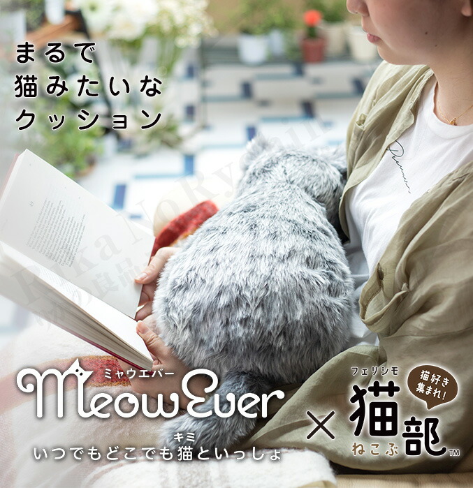 楽天市場】ミャウエバー 【すぐに遊べる⇒単4電池付き☆包装無料