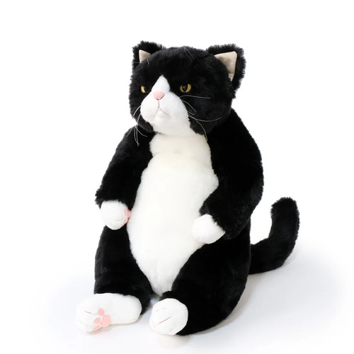 楽天市場】cuddly ねこ ブルースの通販