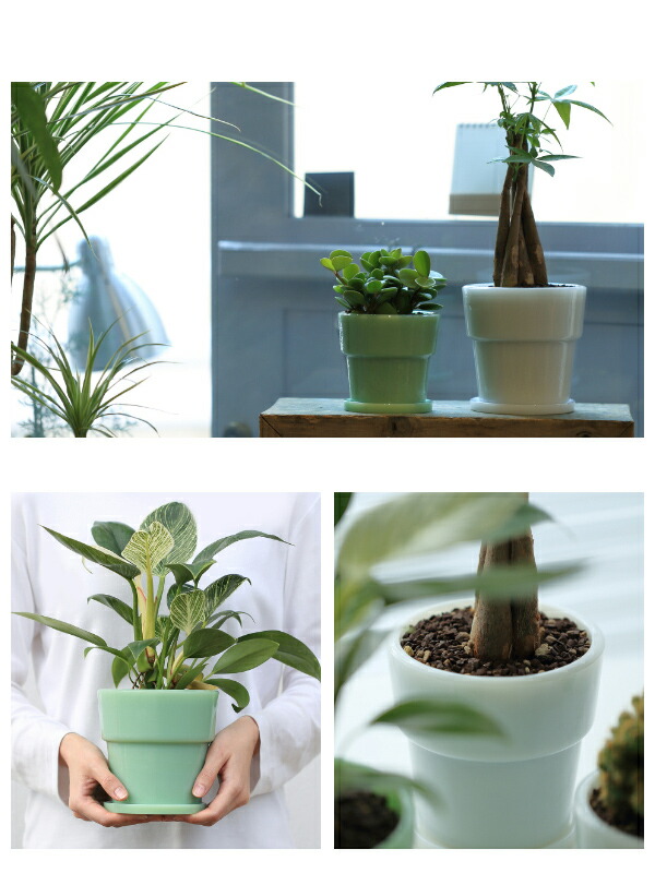 楽天市場】植木鉢 4号 ミルクガラス プランター イデアコ 鉢植え 4号鉢