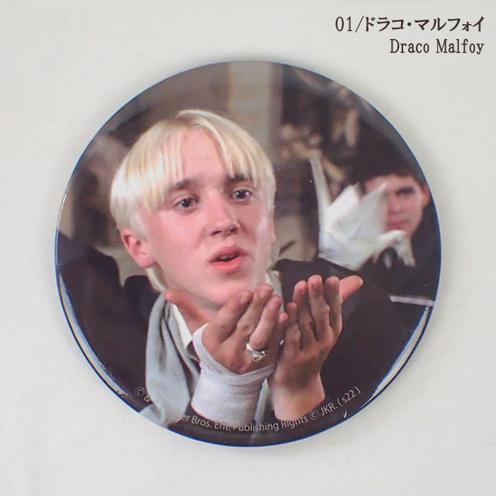 楽天市場】ハリーポッター グッズ/ FLAPPER フラッパー フィルムアート
