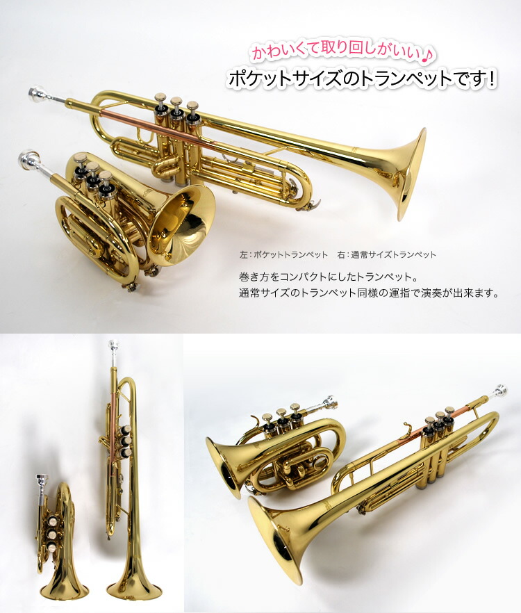 楽天市場】ポケット トランペット 初心者入門セット Soleil STR-1P