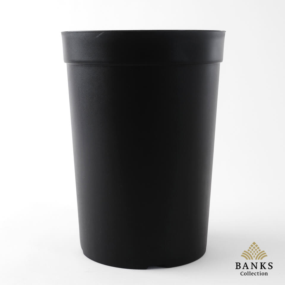 楽天市場】BANKS Collection ロングポット【Lサイズ】Φ18×H24.5cm 6号