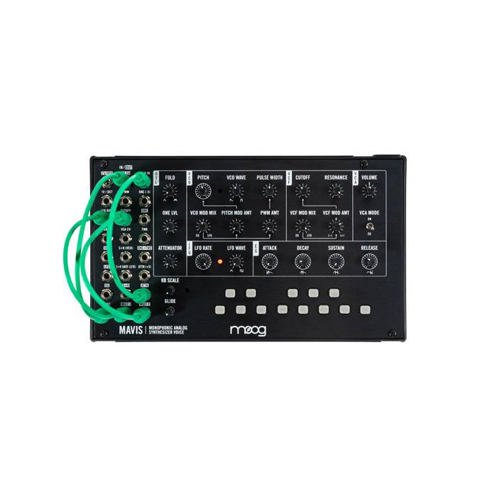 楽天市場】【楽天スーパーSALE限定 エントリーでP5倍】 moog Mavis