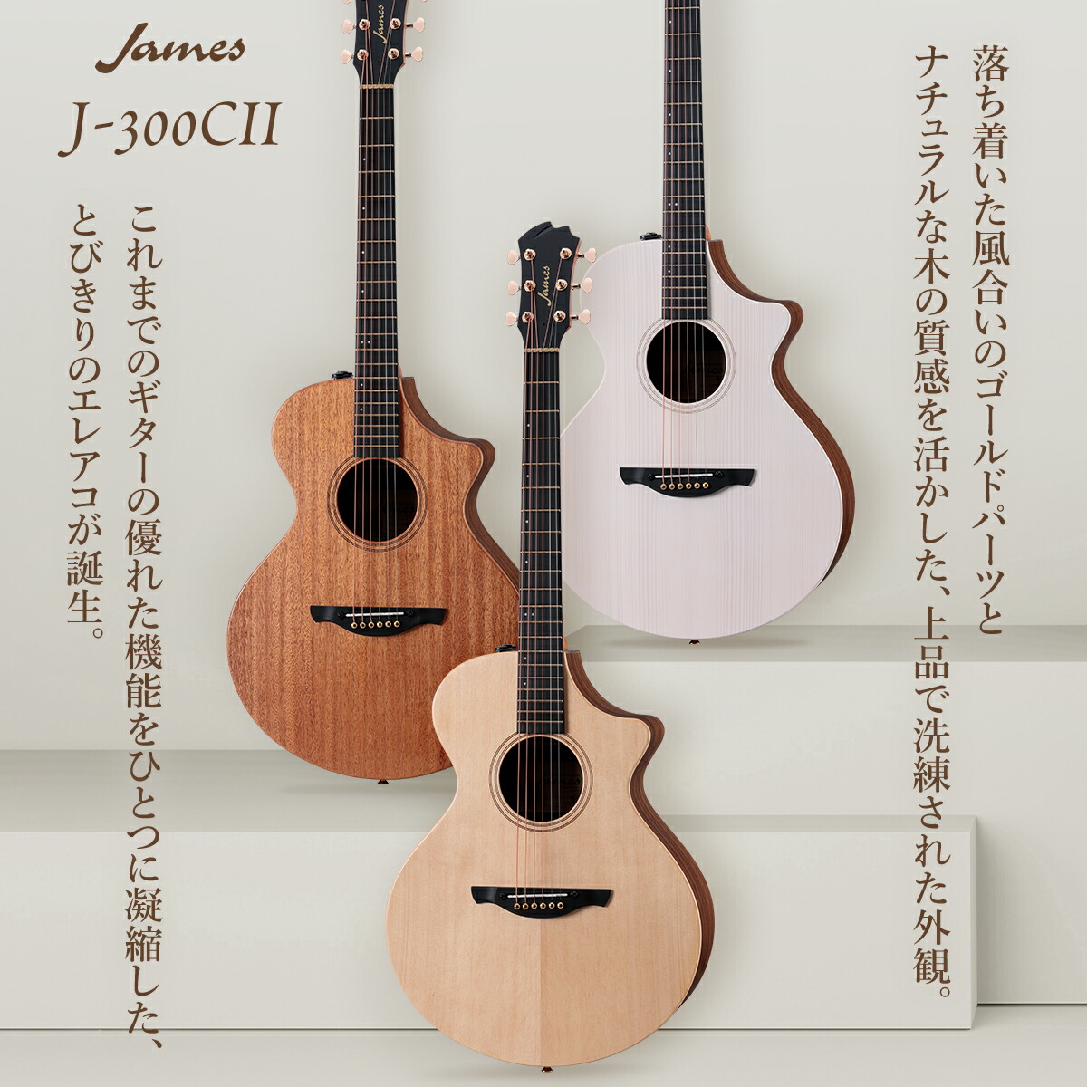 楽天市場】James J-300CII 単品・初心者12点セット エレアコ 生音