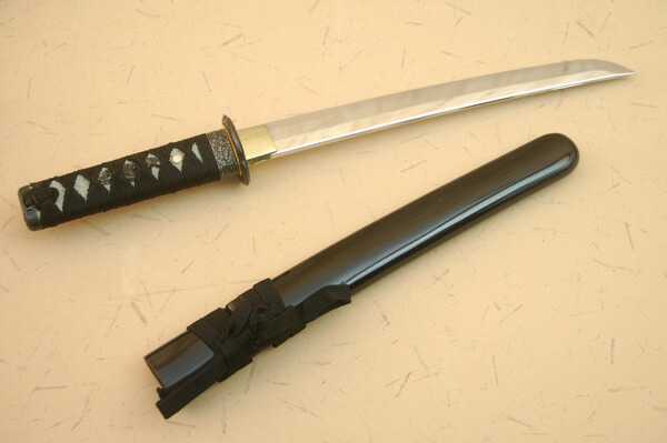 7624y11_01.jpg