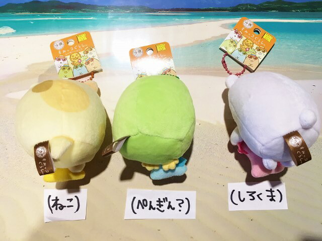 楽天市場】沖縄限定☆すみっコぐらしぬいぐるみ(5種類)☆ねこ
