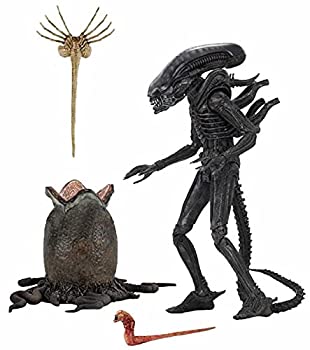 楽天市場】コトブキヤ artfx ビッグチャップの通販