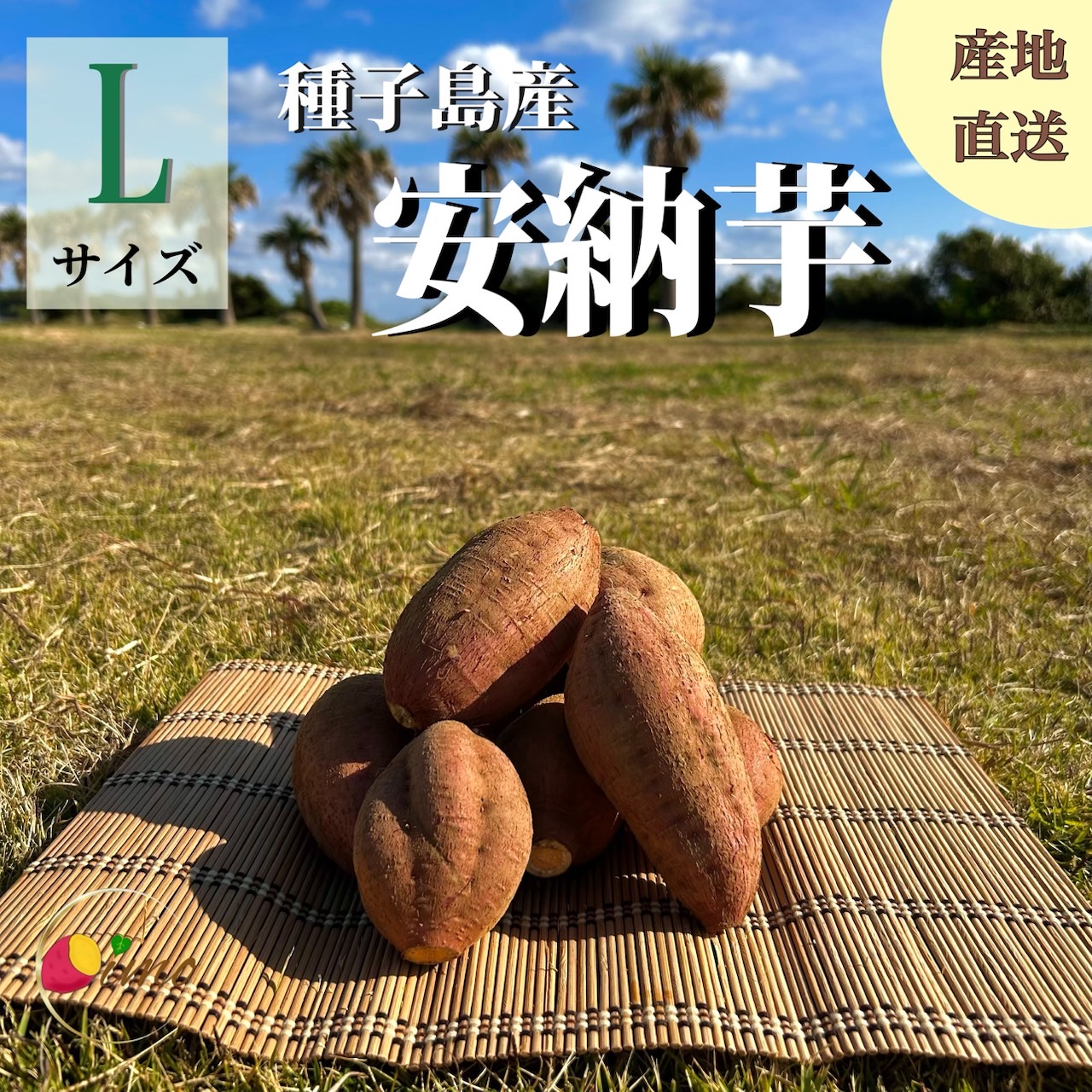 楽天市場】【絶品】種子島産 安納芋 Lサイズ｜aimo農園 : スロード