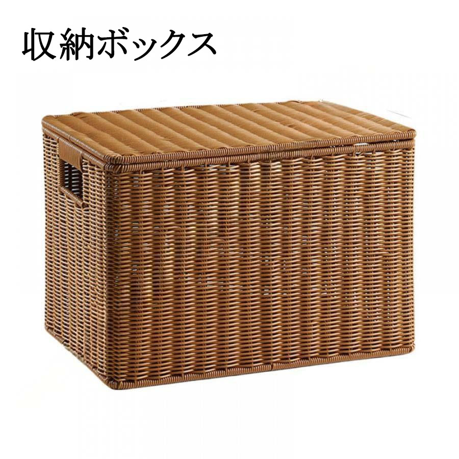sora54901.jpg