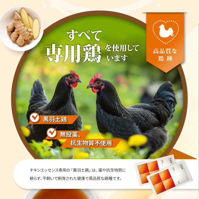楽天市場】田原香滴鶏精 ショウガチキンエッセンス 60ml×20パック 常温