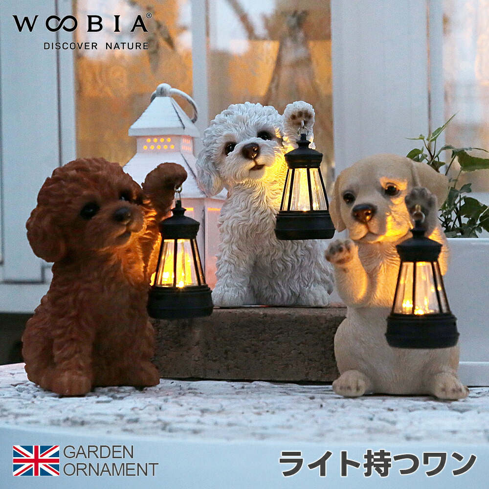 楽天市場】ソーラーライト 犬 オブジェ オーナメント ガーデン