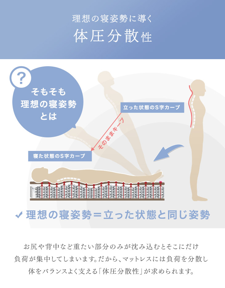 楽天市場】【本日クーポン3％引】 全部洗える 3つ折り 高反発
