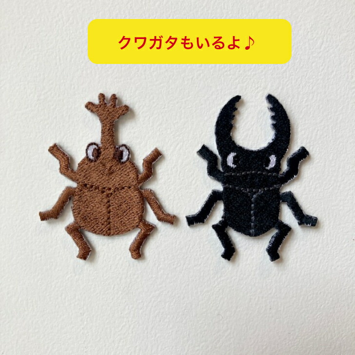 楽天市場】カブトムシ かぶとむし 【1000円以上購入で送料無】 虫 昆虫