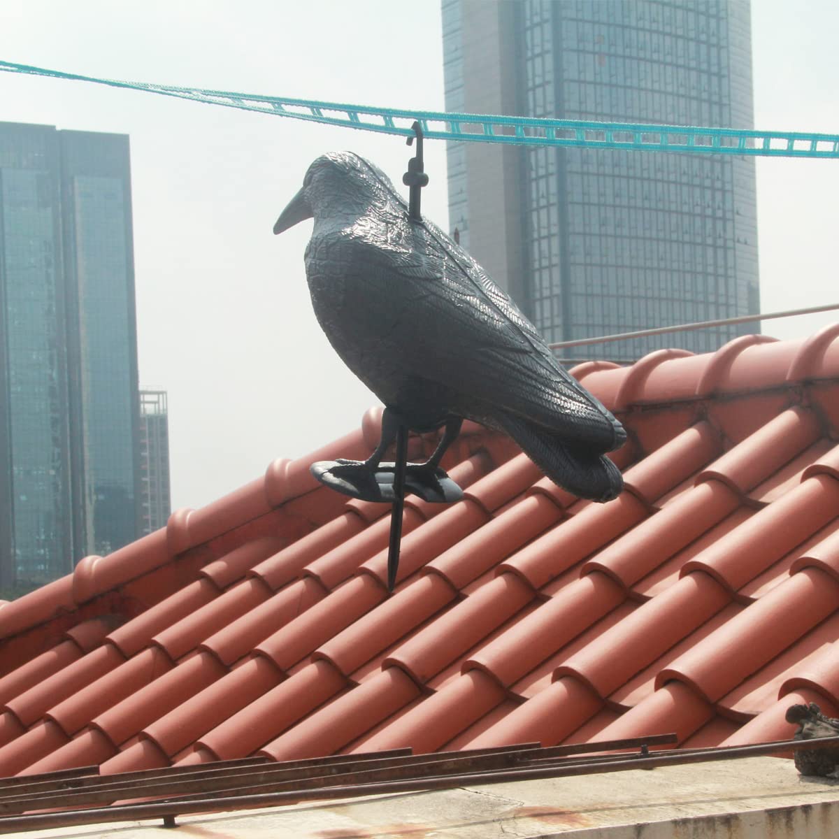 楽天市場】【送料無料】skycabin鳥獣害用品 迷惑鳥撃退! カラスよけ