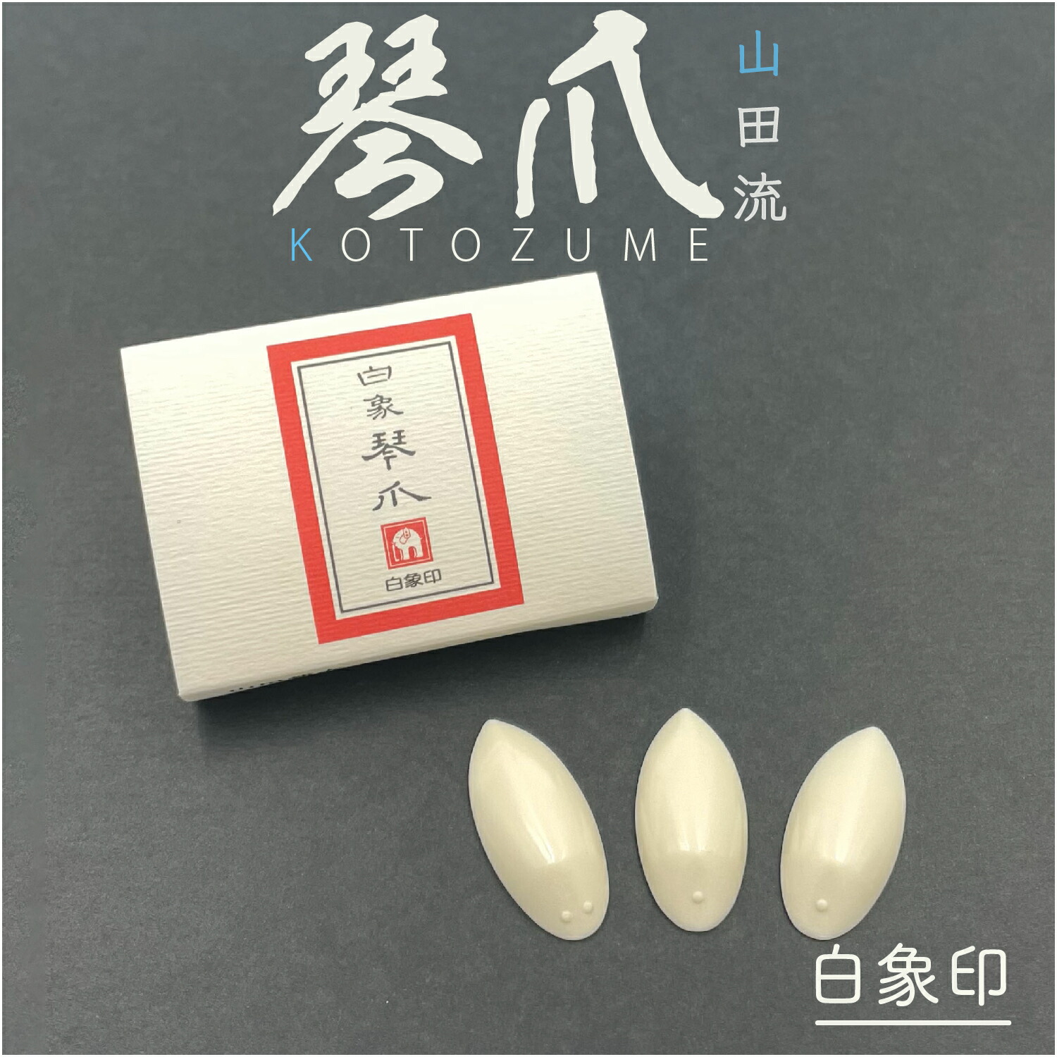 楽天市場】【白象印 プラ爪 山田新大】琴爪 箏爪 山田流プラスチック製