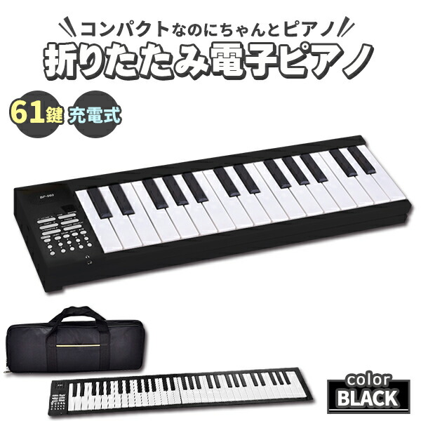 ピアノ キーボード ケース」の人気商品一覧 | 安い商品を通販サイト