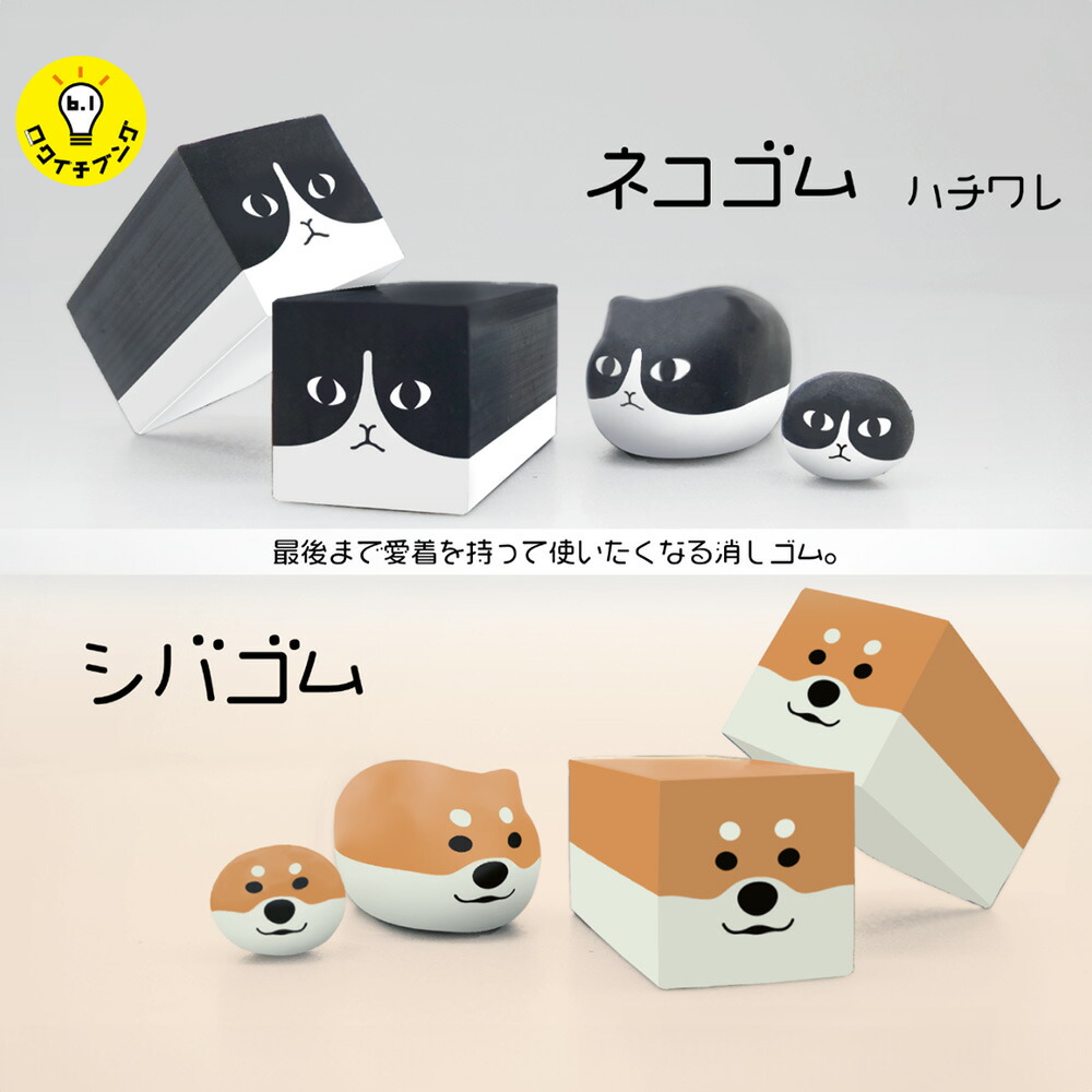 楽天市場】送料無料!! 【メール便対応】サンスター文具『ネコゴム
