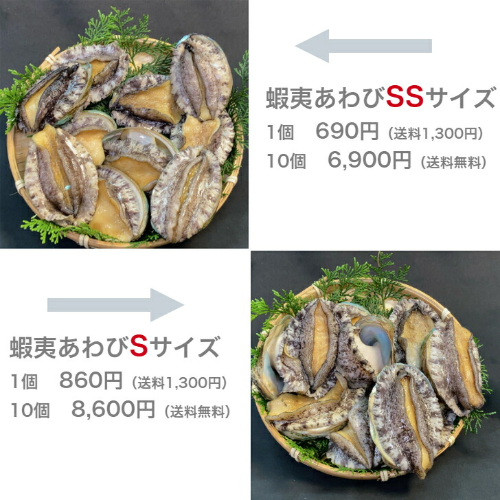 楽天市場】【高級活〆】蝦夷あわび 活アワビ あわび アワビ 鮑 60g 80g