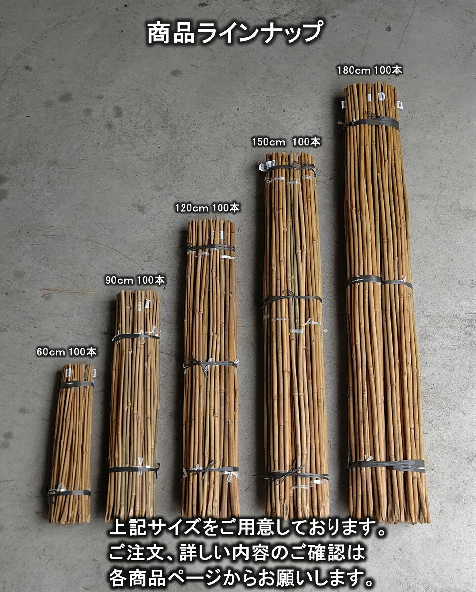 楽天市場】女竹 60cm 100本 篠竹 添え木 竹支柱 農業支柱 園芸支柱